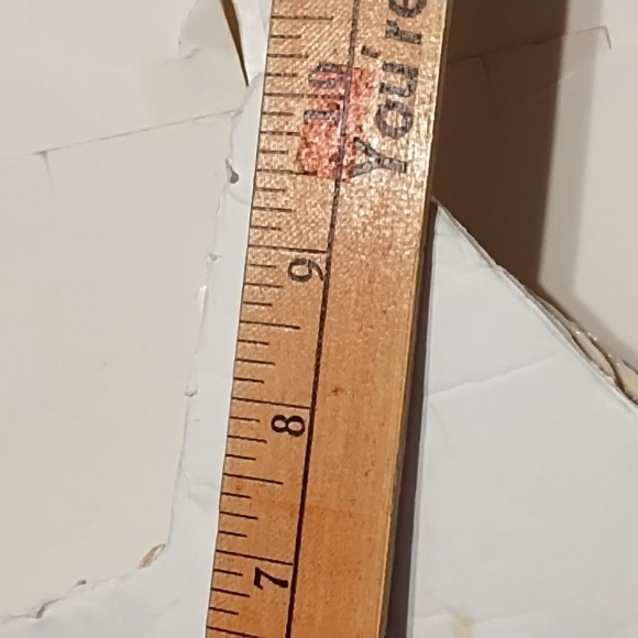 10 Inch Shell Star - Picture 11 of 13